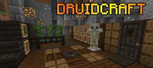 Druidcraft - мод поможет стать друидом (1.16.4, 1.15.2, 1.14.4)